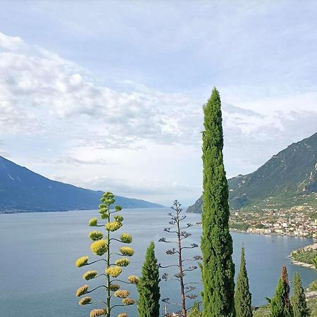 Centro Vacanze La Limonaia 리몬네술가르다 외부 사진